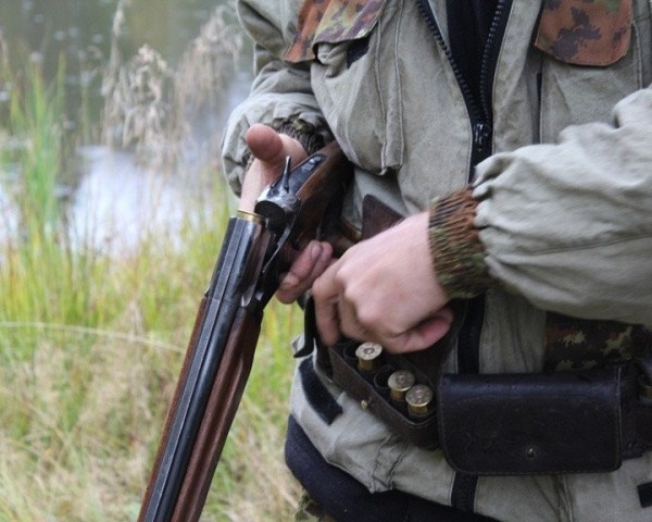 В Лунинецком районе охотник «перепутал» зайца с дикой козой В Лунинецком районе охотник «перепутал» зайца с дикой козой