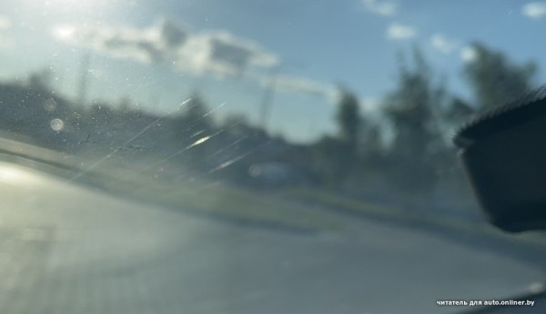 Собаки — это понятно. А посмотрите, что с машиной может сделать кот Собаки — это понятно. А посмотрите, что с машиной может сделать кот