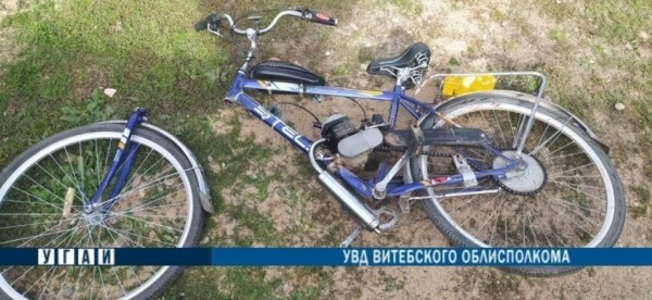 И такое бывает. В Беларуси женщина на велосипеде врезалась в лося