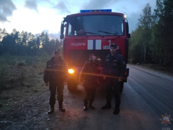 В Брестской области найдена женщина, которая заблудилась в лесу