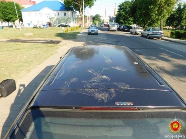 В Беларуси нетрезвый подросток решил станцевать на крыше авто. Его нашли по кедам В Беларуси нетрезвый подросток решил станцевать на крыше авто. Его нашли по кедам