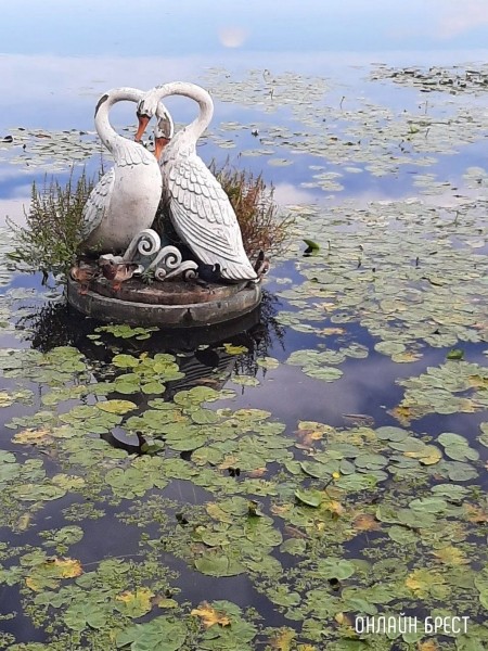 Читатель: В Бресте на Набережной заметили интересную птичку. Как нам сказали - это Лысуха (разновидность уток)
Читатель: В Бресте на Набережной заметили интересную птичку. Как нам сказали - это Лысуха (разновидность уток)