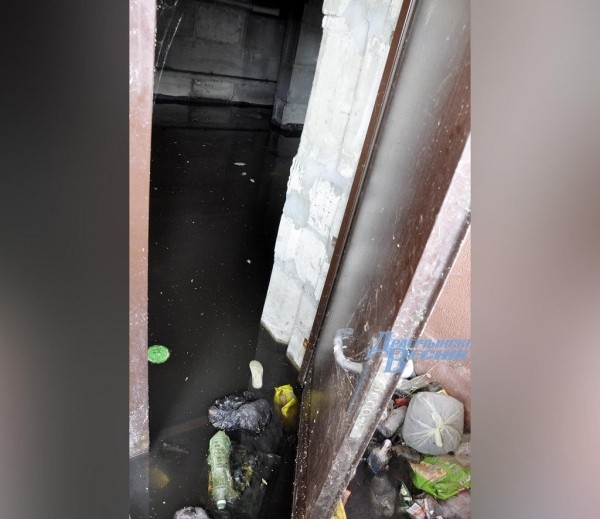 В многоэтажке постоянно затапливает подвал. Случай в Брестской области В многоэтажке постоянно затапливает подвал. Случай в Брестской области