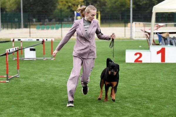 В Беларуси выбрали лучшую собаку