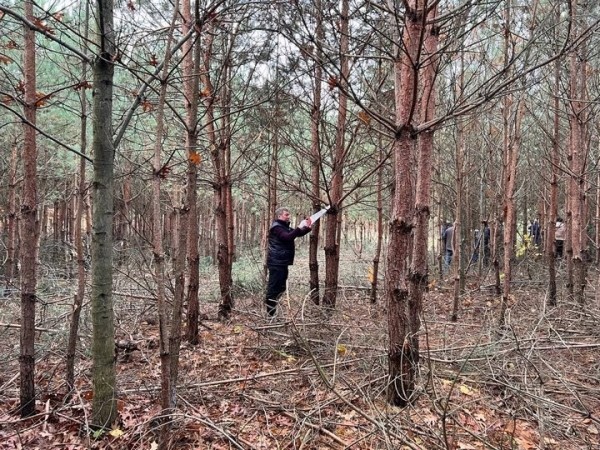 В Бресте сегодня проходит экологическая акция