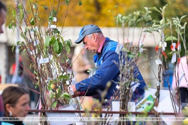 Сезон сельхозярмарок в Бресте в самом разгаре Сезон сельхозярмарок в Бресте в самом разгаре