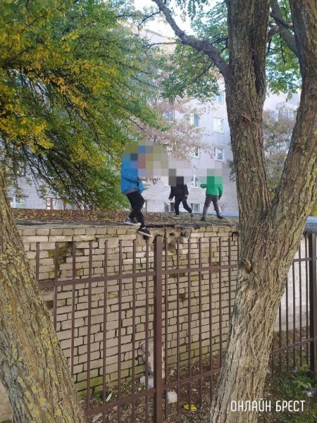 
                Читатель: Родители, следите за тем, чем занимаются ваши дети!
            