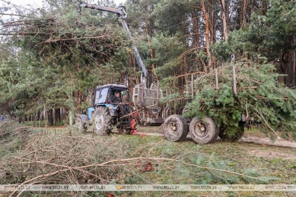 Парк воинов-интернационалистов в Бресте продолжат благоустраивать и создавать новые локации