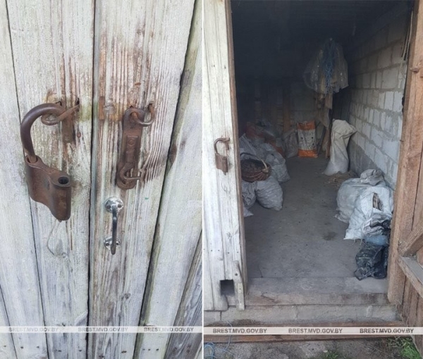 Почти 200 кг урожая клюквы похитили в Брестской области