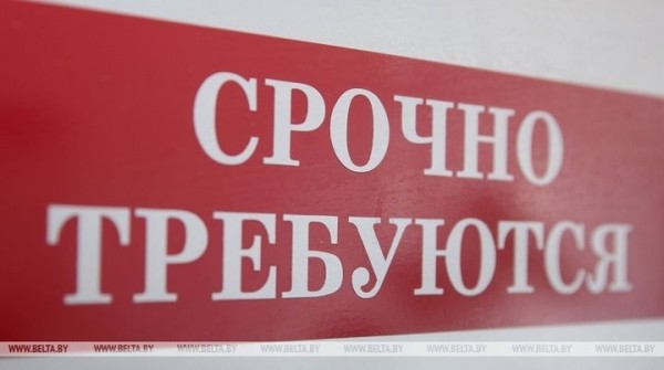 Семь электронных ярмарок вакансий проведут в Брестской области до конца октября