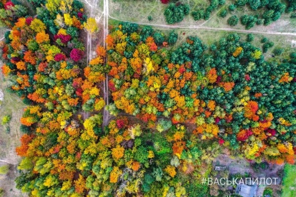 Краски осеннего Бреста
Краски осеннего Бреста