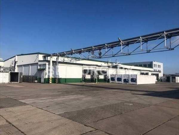 В Бресте за долги продают целый колбасный завод. Узнали условия и цену