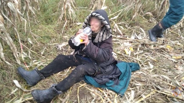 Пенсионерка провела в лесу четыре ночи, она питалась зернами кукурузы, чтобы выжить