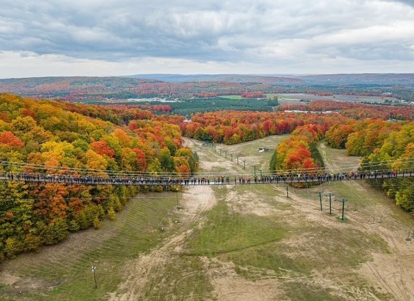 Открылся самый длинный в мире подвесной мост, сделанный в основном из дерева