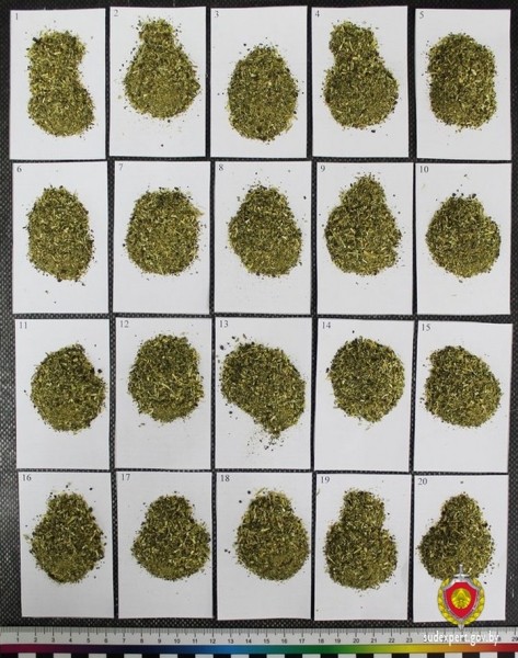 Белорус вез через границу чай Relax. Оказалось, сувениры с листиком конопли таможня изымает Белорус вез через границу чай Relax. Оказалось, сувениры с листиком конопли таможня изымает