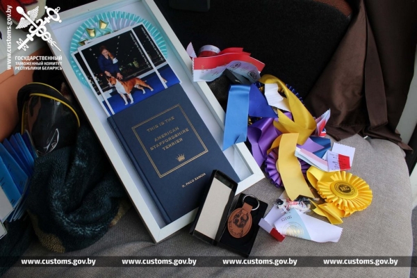 Собак и котов редких пород под видом метисов ввезли в Беларусь из Польши