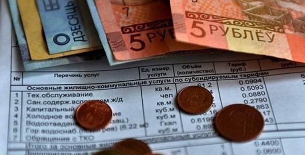 Вы удивитесь: сколько деревьев спасают барановичане, получая жировки на электронную почту?