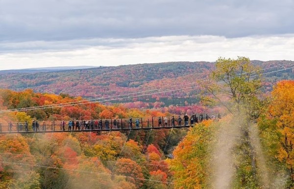 Открылся самый длинный в мире подвесной мост, сделанный в основном из дерева