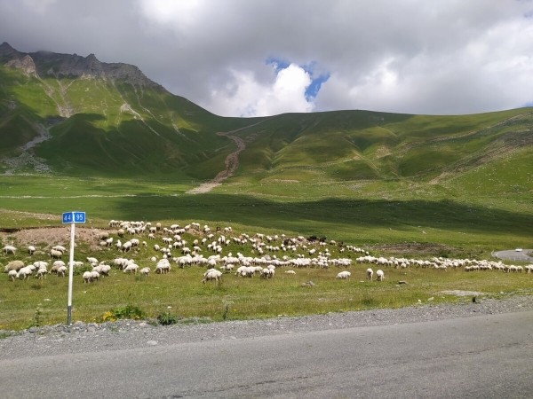 «Грузины заступались на дороге!» Пинчанин о путешествии в Грузию на Honda Сivic «Грузины заступались на дороге!» Пинчанин о путешествии в Грузию на Honda Сivic