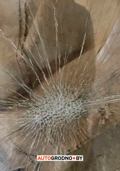 Самая дорога поездка в Польшу: поляк разбил белорусу стекло в очереди