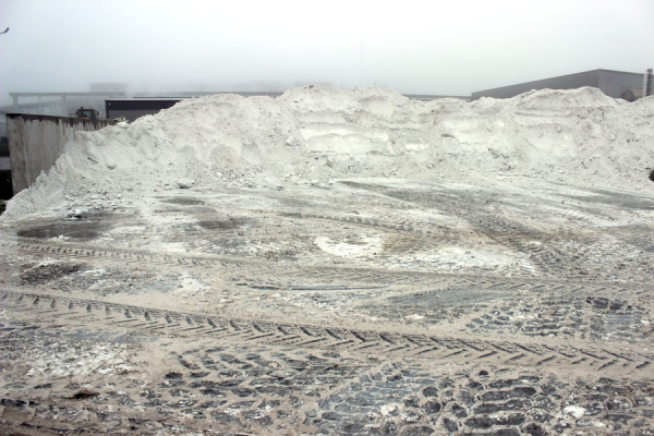 Комплекс по выращиванию грибниц в Кобринском районе замещает импорт и закрывает более половины потребностей внутреннего рынка