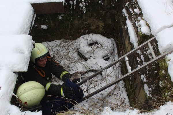 В Беларуси спасли лебедя. Подробности случая