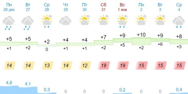 Какая погода ждет брестчан на Новый год Какая погода ждет брестчан на Новый год