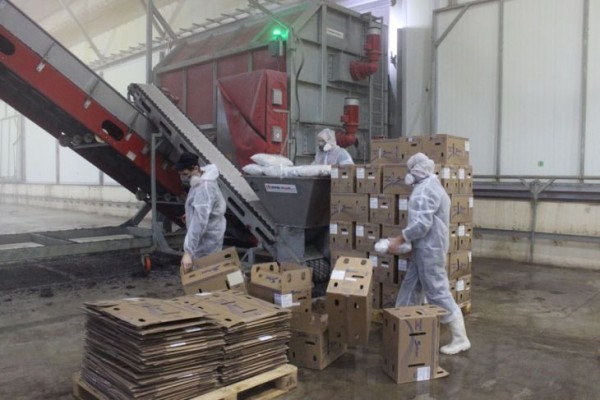 Комплекс по выращиванию грибниц в Кобринском районе замещает импорт и закрывает более половины потребностей внутреннего рынка