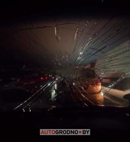 Самая дорога поездка в Польшу: поляк разбил белорусу стекло в очереди