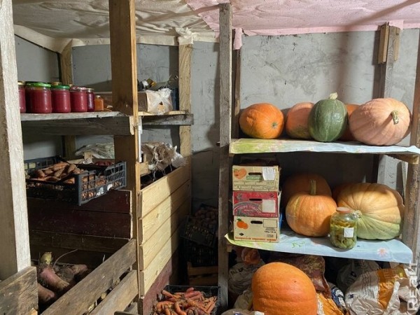 «Наш дом даст фору городской квартире». Молодая семья приехала в деревню по распределению — и осталась навсегда «Наш дом даст фору городской квартире». Молодая семья приехала в деревню по распределению — и осталась навсегда
