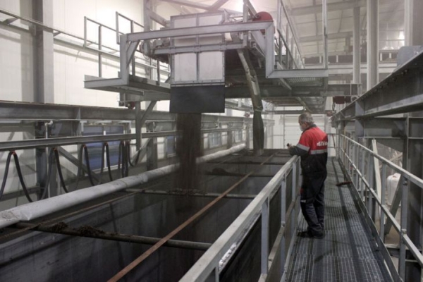 Комплекс по выращиванию грибниц в Кобринском районе замещает импорт и закрывает более половины потребностей внутреннего рынка