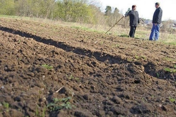 Изменены границы Пружан, Ружан и Шерешево