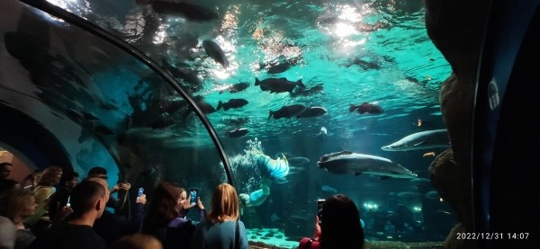 «На всю дорогу — 400 литров топлива». Белорус проехал на кемпере по России и рассказал о впечатлениях «На всю дорогу — 400 литров топлива». Белорус проехал на кемпере по России и рассказал о впечатлениях