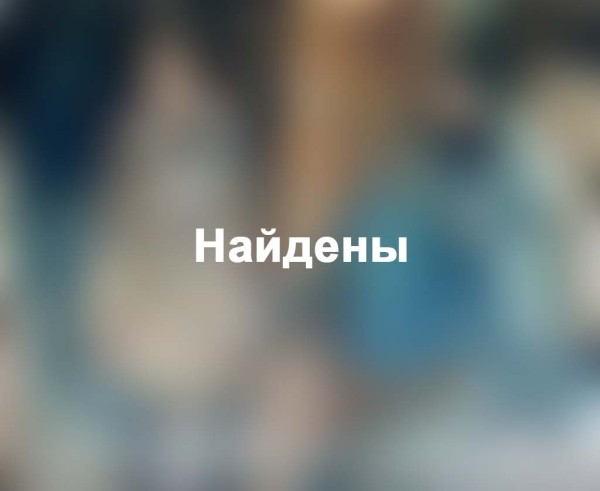 Брестская милиция устанавливает личности девушек Брестская милиция устанавливает личности девушек