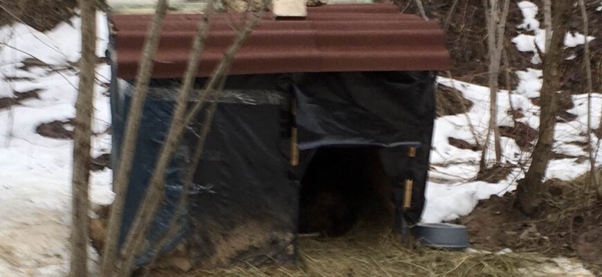 Тутэйшы Хаціка