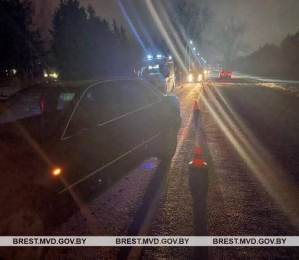 Два пьяных пешехода попали под колеса автомобилей в Брестской области