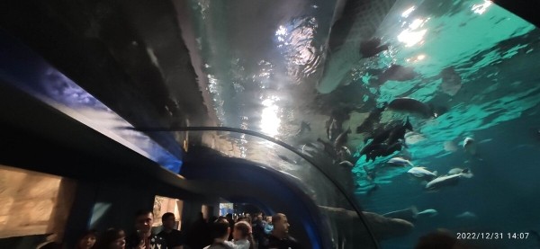 «На всю дорогу — 400 литров топлива». Белорус проехал на кемпере по России и рассказал о впечатлениях «На всю дорогу — 400 литров топлива». Белорус проехал на кемпере по России и рассказал о впечатлениях