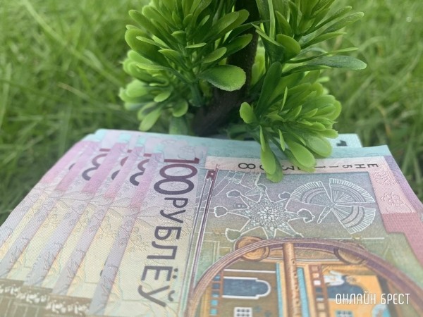 Кому в Беларуси готовы платить зарплату от 5000 рублей – изучили вакансии Кому в Беларуси готовы платить зарплату от 5000 рублей – изучили вакансии