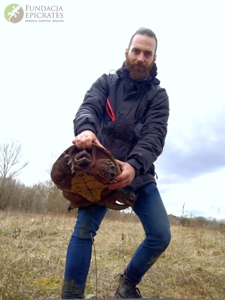 В Польше поймана огромная американская черепаха. Она прожила в природе несколько лет — значит, сможет и у нас В Польше поймана огромная американская черепаха. Она прожила в природе несколько лет — значит, сможет и у нас