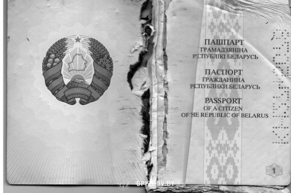 Муж, не желая отпускать жену и ребенка, порвал ее паспорт и другие документы. Случай в Брестской области Муж, не желая отпускать жену и ребенка, порвал ее паспорт и другие документы. Случай в Брестской области