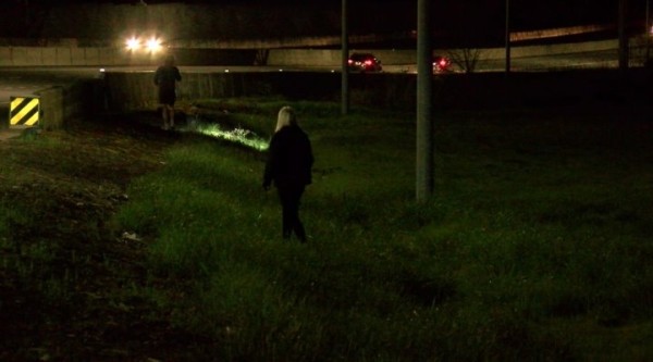 Очень странные дела. Мужчина разбросал из машины на ходу $200 тысяч