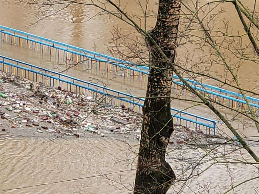 Как золотая рыбка в Витебске утонула Как золотая рыбка в Витебске утонула