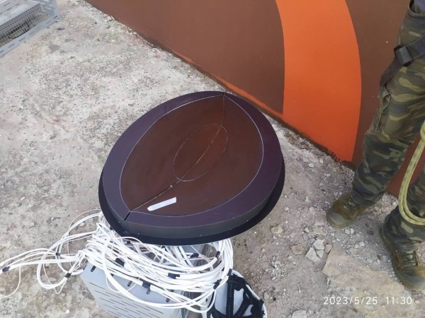 У огромного зубра на трассе М1 теперь светятся глаза