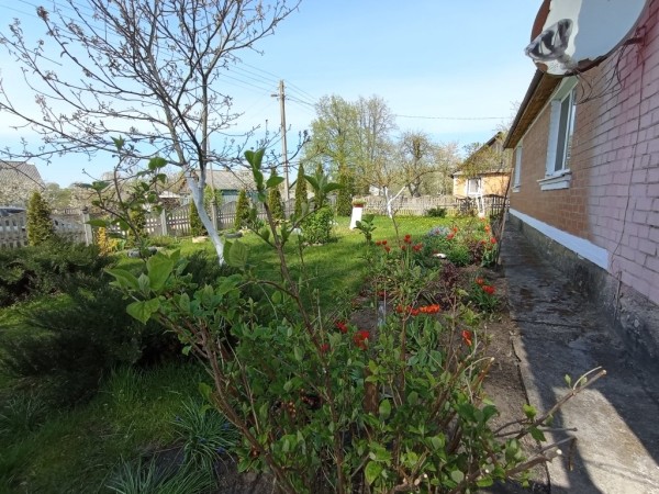 Муж ушел из семьи и оставил кредит — спас свой дом с огородом. Белоруски рассказали, как и почему переехали за город