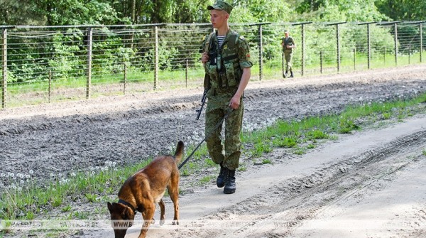 Пограничная Афиша и особенности службы на заставе в Беловежской пуще Пограничная Афиша и особенности службы на заставе в Беловежской пуще