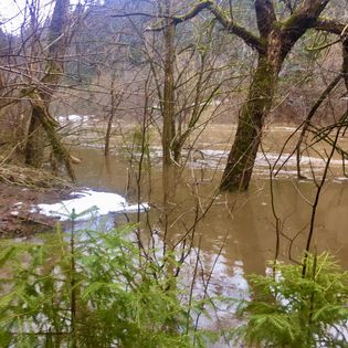 «Я будущую дочку назову твоим прекрасным именем — Лучёса» «Я будущую дочку назову твоим прекрасным именем — Лучёса»
