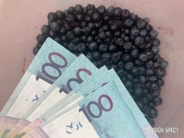 Почем Березовское райпо принимает чернику и садовые ягоды у населения Почем Березовское райпо принимает чернику и садовые ягоды у населения