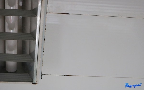 Во время ливня в квартире барановичанки случился потоп. Что происходит там сейчас?