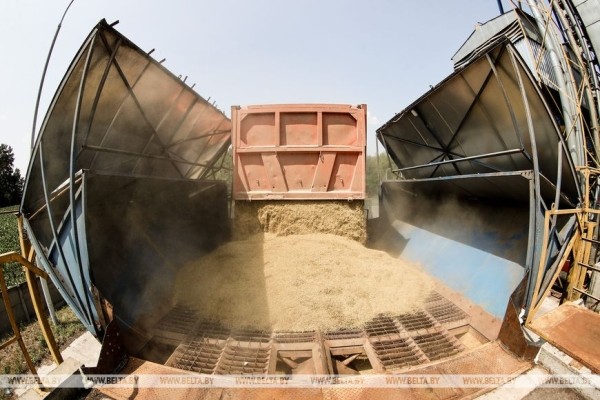 «Стараемся на деле проявлять заботу о людях», или Как в Кобринском районе начали жатву