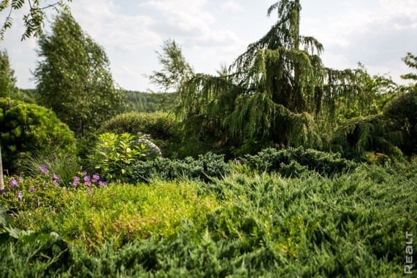 «Хочешь дешевле — сделай сам». Ландшафтный дизайнер показала свой стильный дом под Минском